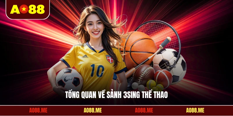 Tổng quan về sảnh 3sing thể thao